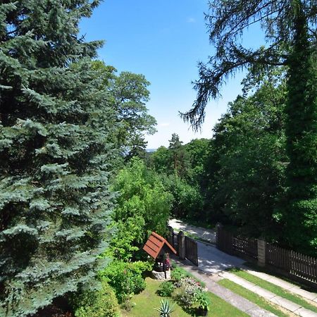Staszica16 Apartment Złoty Stok Exterior foto